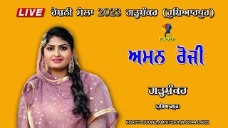 Aman Roji Roshni Mela (ਰੋਸ਼ਨੀ ਮੇਲਾ) || City Garhshankar 25-02-2023 Navi Studio Kitne Wale 9417502888