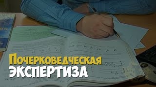 Криминалистика. Почерковедческая экспертиза