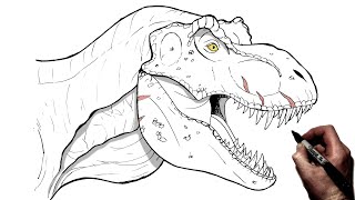 How to Draw a Tyrannosaurus Rex | Step By Step