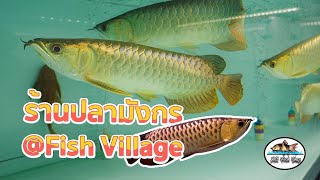 ร้านปลามังกร All Fish Shop ตลาดปลา บ้านโป่ง (Fish Village) ราชบุรี​