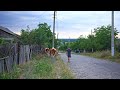 Closer to nature: The daily routine of rural life in Eastern Europe