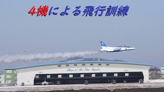 2023/1/30 ブルーインパルス4機による飛行訓練