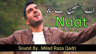 Ya Nabi Nazre Karam Farmana | Ey Hasnain Ke Nana | Milad Raza Qadri |  Official Video | Naat Song