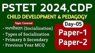 PSTET 2024 | PSTET CDP Preparation | Day-5 |  PAPER-1, PAPER-2 | Study Fighters CDP