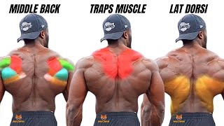 TOP 5 LAT MIDDLE BACK AND TRAPS WORKOUT WITH DUMBBELLS ONLY AT HOME OR GYM