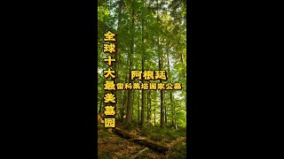 整整200年的歲月中，公墓里密密麻麻建立起將近七千多座墳墓｜#最美公墓10 世界之最 World's Top