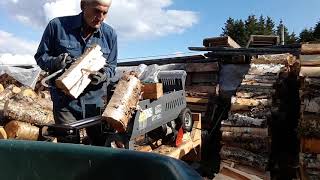 René fendeuse Yardwork