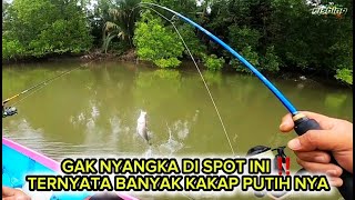 MANCING DASARAN DI MUARA UMPAN UDANG HIDUP ‼️ MANCING DI SPOT IKAN KAKAP PUTIH