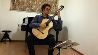 Andrea de Vitis Performs Brouwer's Etude No. 17