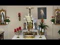 live eucharistic adoration sisters of divine mercy