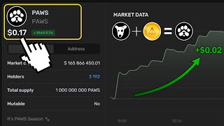 قیمت توکن پاوز مشخص شد Paws