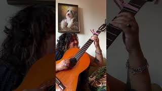 Palehound My Evil solo acoustic