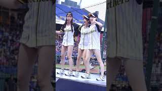 20190824 PS松鼠 中信兄弟開場曲 中信兄弟X阪神虎 阪神甲子園球場日