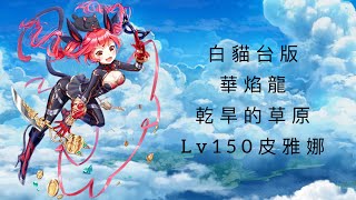 白貓Project 華焰龍-乾旱的草原 皮雅娜[Lv150]