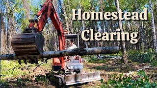 Clearing Our Alaska Homestead // Logging and Roadbuilding