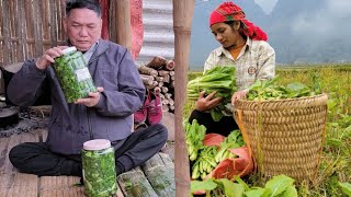 Mustard Greens Season and Father-Son Love in the Countryside, How to Make Mustard Greens and Cook