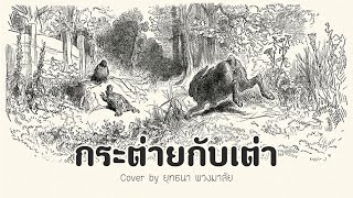 กระต่ายเต่า (เจ้านกแสงตะวัน)