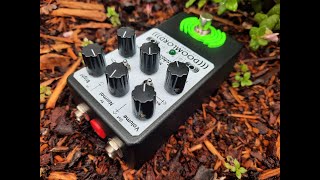 DoomLord + DoomedLife Guitar Pedal Demon-stration Gehirn Enterprises