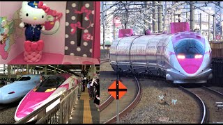 500系ハローキティー新幹線・こだま741号(福山～広島まで車内巡り旅)