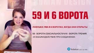 59 и 6 ворота в Дизайне Человека. Ворота 59 и 6 электромагнит 59-6 — Human Design