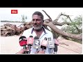 170 year old cinema tree falls కూలిపోయిన 170 సంవత్సరాల చెట్టు abp desam