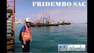 Fridembo SAC Nuestra Experiencia