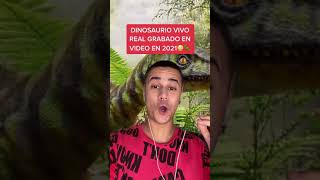 Dinosaurio Vivo Real Grabado En  #shorts