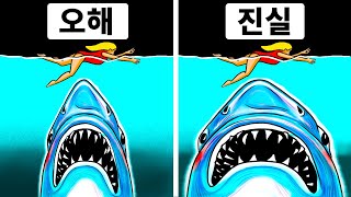 메갈로돈 영화가 만들어낸 잘못된 오해