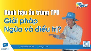 Bệnh hậu ấu trùng TPD trên tôm - Giải pháp ngừa và điều trị | Au My AEC