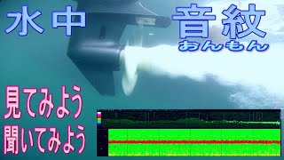 船の水中音紋(おんもん)