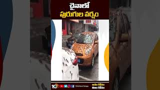 చైనాలో పురుగుల వర్షం | Beijing Worm Rains | Worms Rain | Warms Rain | Viral Video | Shorts | 10TV