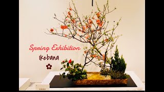 #Ikebana Flower Exhibition #SPRING Ikebana Flowers Arrangements #Sogetsu Style 草月流 生け花