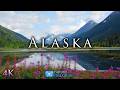 Alaska Wildlife In Stunning 4k - Relaxing Nature Film With Music!