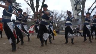 京都さくらよさこい2016 岡崎公園会場 京炎そでふれ！輪舞曲