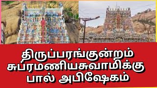 திருப்பரங்குன்றம் ஸ்ரீ சுப்ரமணிய சுவாமிக்கு பால் அபிஷேகம் | Thiruparankundram Murugan