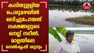 കലിതുള്ളിയ പെരുമഴയിൽ ഒലിച്ചുപോയത് ലക്ഷങ്ങളുടെ നെല്ല് നടീൽ,  മാളയിലെ നെൽകൃഷി ശൂന്യം