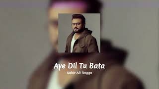 Aye Dil Tu Bata (Full Song) | Sahir Ali Bagga | Audio + Lyrics
