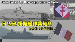 日仏米海軍の揚陸隊隊が佐世保に集結!! 4か国共同訓練 Japan France US Navy ships gather in Sasebo Japan