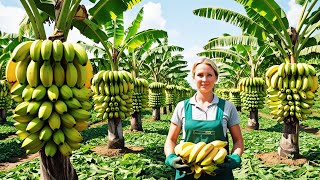 Secrets to Growing Bananas - Boost Your Yield and Quality Like a Pro