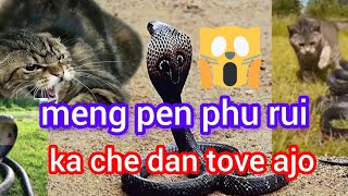 ne li tum ahem ameng phu rui ke nep jo 😲😲🫣🫣