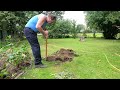 3 ways to get rid of a felled tree trunk.