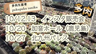 【多肉販売会】インスタ販売会、イベント「鹿児島」「北九州」　多肉生産者「pukupuku taniku」