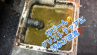 【閲覧注意‼️】グリストラップから水が逆流してる❗️ひょっとしてそれ汚水じゃね⁉️