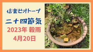 信楽ビオトープ二十四節気  穀雨　2023年4月20日