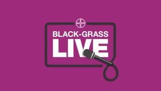 Black-grass Live: What does delayed drilling really mean?