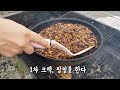 뒷마당에서 프라이팬으로 커피 볶기~ 숯불 직화 홈로스팅 how to roast coffee at home