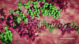 movement of molecules inside living cell