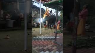 manimalakkavu devi temple festival മണിമലക്കാവ് ദേവി ഉത്സവം