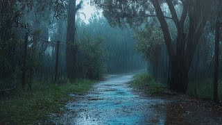 Anxiety Relief and Sleep with Heavy Rain Sounds in the Forest | Natural Sounds for Sleep Aid, Study