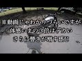 xsr155のマフラー交換！r9 exhaust！ヨシムラ以外の音色は如何に！？ モトブログ